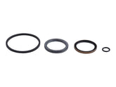 10719432 Seal Kit (Lull #P19432) | JLG
